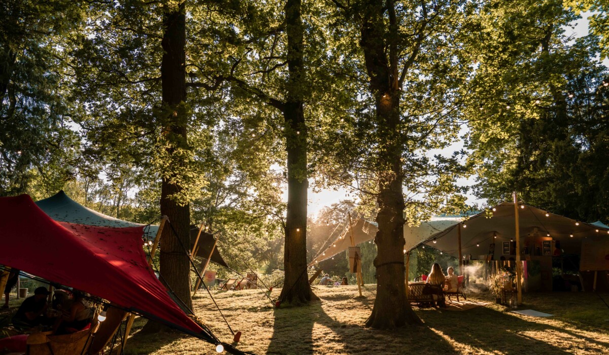 Experience Forbidden Forest in Luxury
