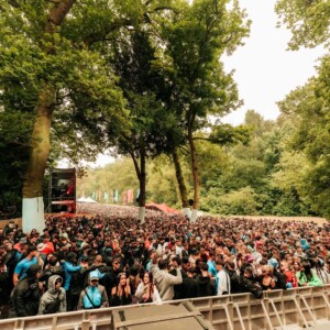 Forbidden Forest Event Photo