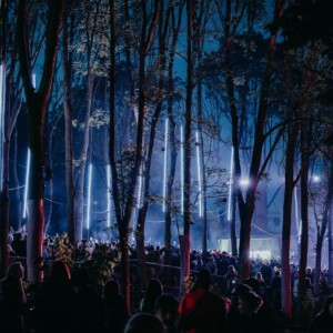 Forbidden Forest Event Photo