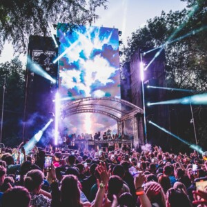 Forbidden Forest Event Photo