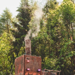 Forbidden Forest Event Photo