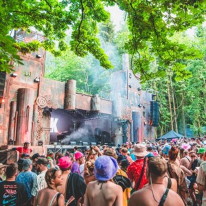 Forbidden Forest Event Photo