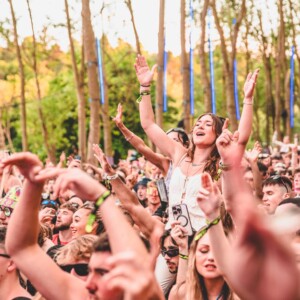 Forbidden Forest Event Photo