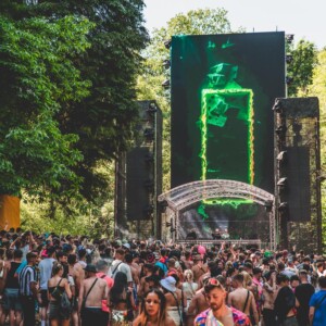 Forbidden Forest Event Photo