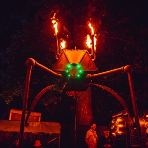 Forbidden Forest Event Photo