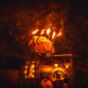 Forbidden Forest Event Photo