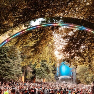Forbidden Forest Event Photo