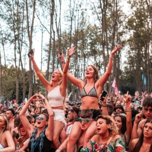 Forbidden Forest Event Photo