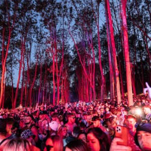 Forbidden Forest Event Photo