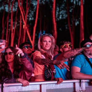 Forbidden Forest Event Photo