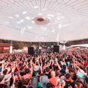 Forbidden Forest Event Photo