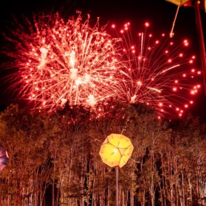 Forbidden Forest Event Photo