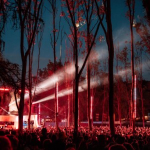 Forbidden Forest Event Photo