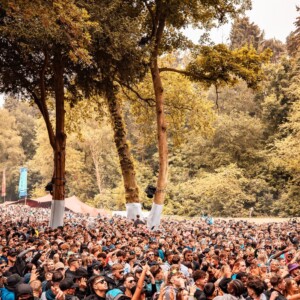 Forbidden Forest Event Photo