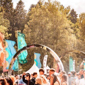 Forbidden Forest Event Photo