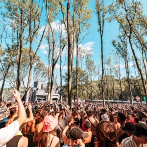 Forbidden Forest Event Photo